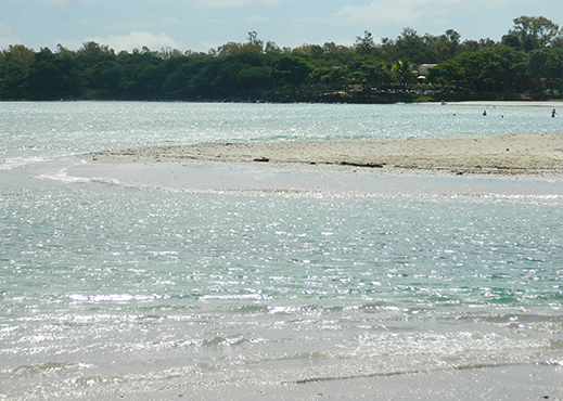 tamarin mauritius